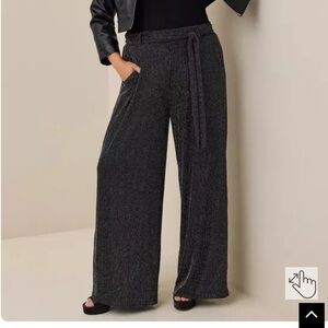 Sparkly Pants (Torrid 2)